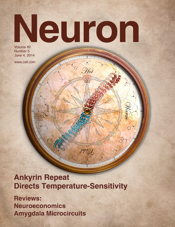 Neuron cover