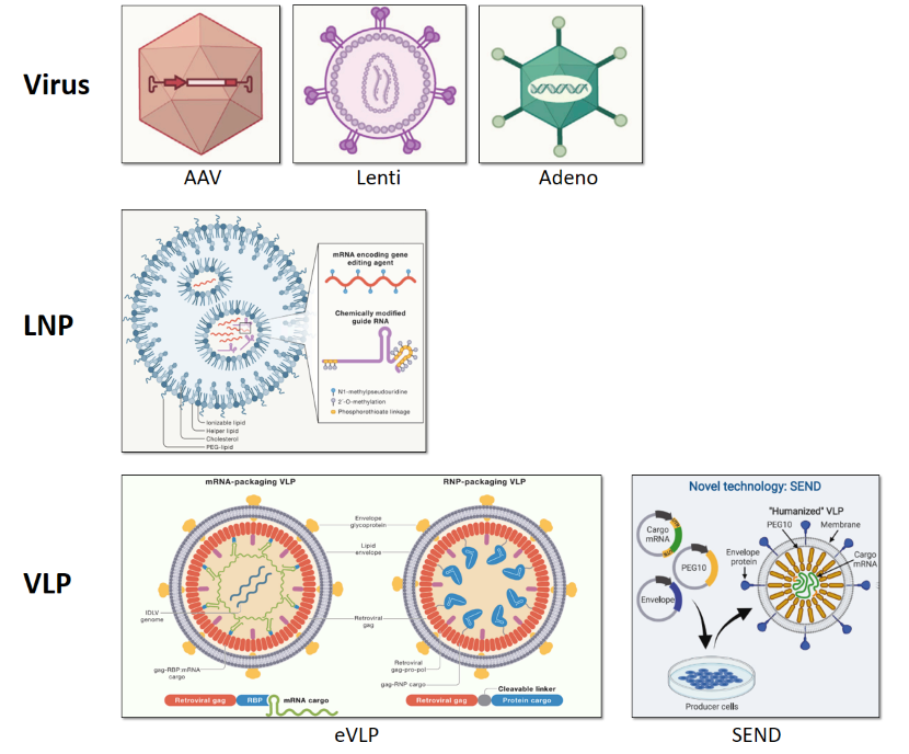 Emerging delivery methods for CellREADR