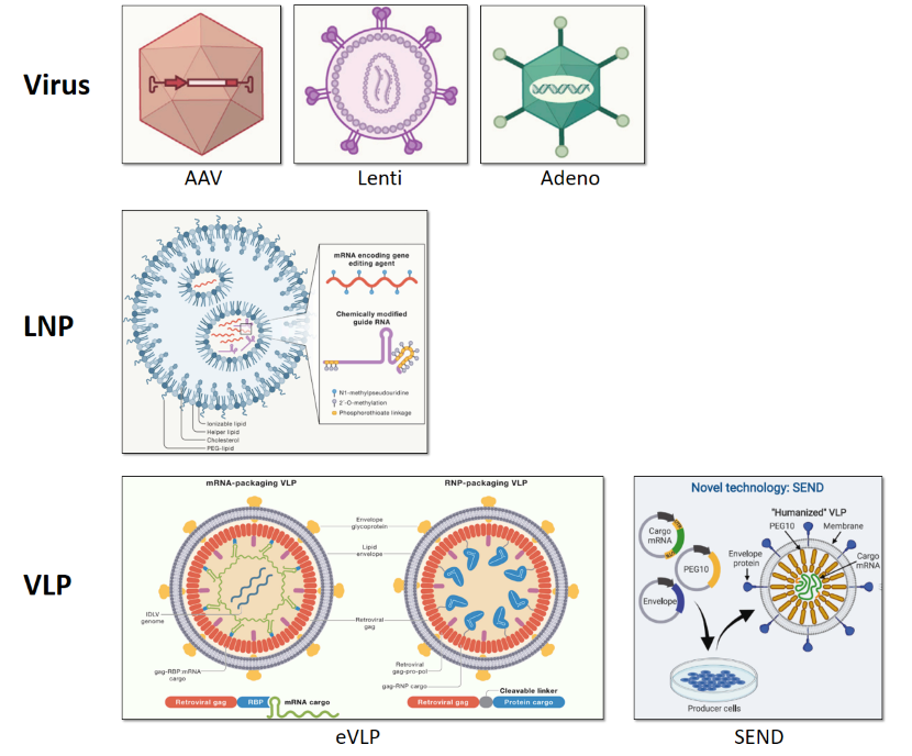 Emerging delivery methods for CellREADR 