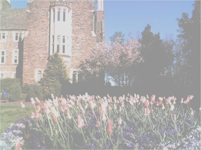 Duke Spring