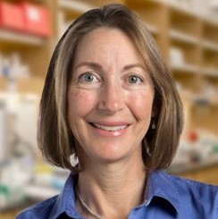 Lisa Stowers, Ph.D.