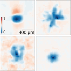 RF image
