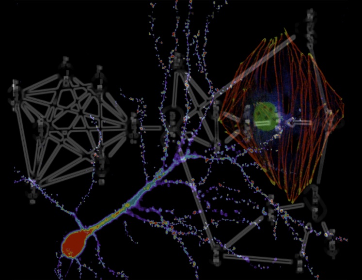 Soderling Research