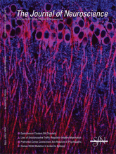 Journal of Neuroscience