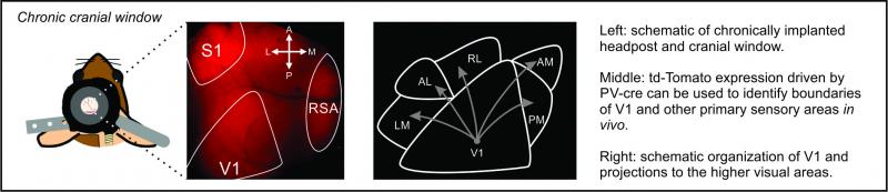 Glickfield Research figure 1a