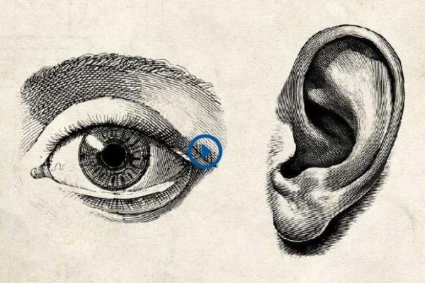 Pen drawing of eye next to an ear