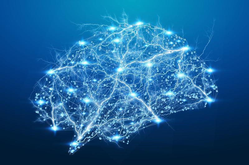 Brain circuits image