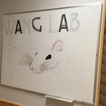 lab sign