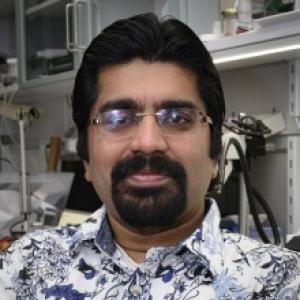 Shreyas M. Suryanarayana