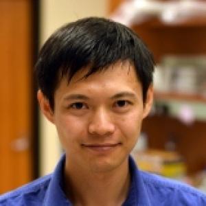 Yiyang Gong, PhD, PI