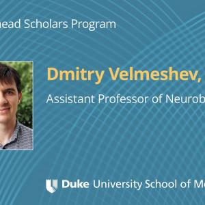 Velmeshev Whitehead Scholar graphic
