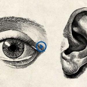 Pen drawing of eye next to an ear