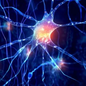 astrocyte