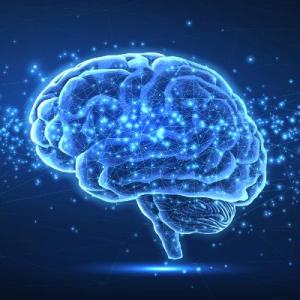 Blue brain with dotted connections
